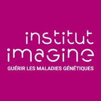 Institut Imagine logo - Similar company to Dreams Project