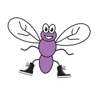 Shoefly Boulder