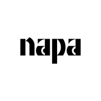 NAPA - National Academy of Performing Arts logo - Similar company to Boostsra