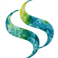 StratSkills logo - Similar company to Service Conseil Mindcore