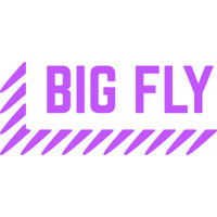 Big Fly Communications logo - Similar company to Dennison & Associates