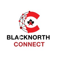 BlackNorth Connect logo - Similar company to Datapassports