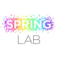 SPRING LAB logo - Similar company to Springlab