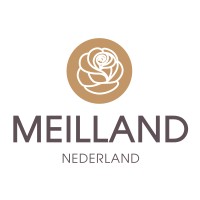 Meilland Nederland logo - Similar company to Brandkamp Jungpflanzen