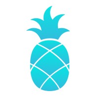 boompi logo - Similar company to Exchange Social Network Valencia
