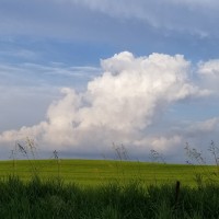 Blue Sky Therapeutic Yoga