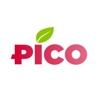 PICO Modern Agriculture Company logo - Similar company to Agrostar - Egyptian Fruit Export