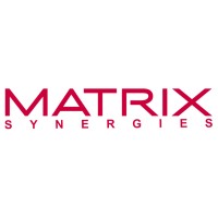Matrix Synergies Limited logo - Similar company to Kle