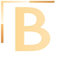 Bounds Technologies logo - Similar company to Zant Technologies