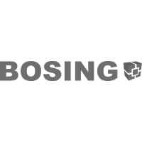 BOSING logo - Similar company to Visdev