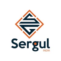 Sergul India logo - Similar company to Sergul Computer Institute