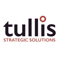 Tullis Strategic Solutions logo - Similar company to Koios Systems & Technology