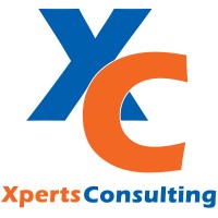 Xperts Consulting Group logo - Similar company to Xperts Consulting
