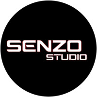 SENZO STUDIO logo - Similar company to Mstar Fx