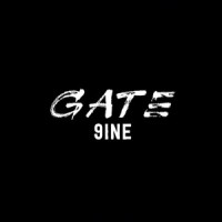 GATE 9INE logo - Similar company to Plural Solutions