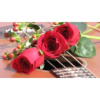 The Rockin Rose Flowers & Events