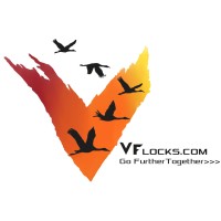 V Flocks