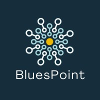 Blues Point Inc. logo - Similar company to Gray Box Solutions Inc.