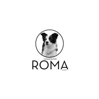 CORPORACIÓN ROMA logo - Similar company to Roma Enterprises S.A.S.