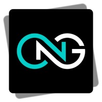 Naswang logo - Similar company to Techforing Growth