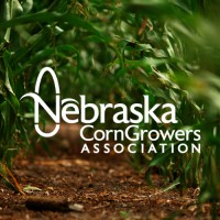 Nebraska Corn Growers Association logo - Similar company to Nebraska Corn Board