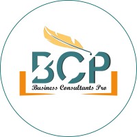 Business Consultants Pro logo - Similar company to Xmretail