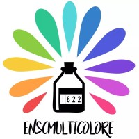 ENSCMulticolore logo - Similar company to Tic 2025