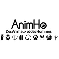 AnimHo logo - Similar company to Academy Of Future Skills