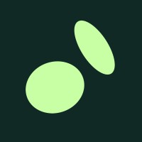 Holisticon AG logo - Similar company to Liberating Structures Connect
