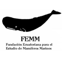 Femm Ecuador