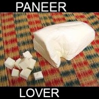 Paneer Lover logo - Similar company to Paneer Pixel Masala