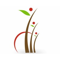 Lagu Financial Services Pvt. Ltd logo - Similar company to Cfp Group