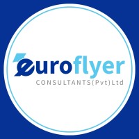 Euroflyer Consultants logo - Similar company to Cubee Technologies