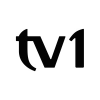 Grupo TV1 logo - Similar company to Pub