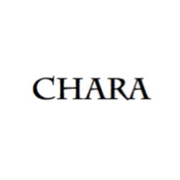 Chara logo - Similar company to Same Day Tshirt