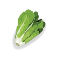 Romaine Grapeful logo - Similar company to Preferred Shore Real Estate