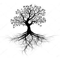 LEGNO BE logo - Similar company to Patentales