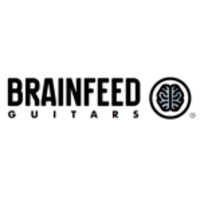 BrainFeed Guitars logo - Similar company to Brainfeed Solutions