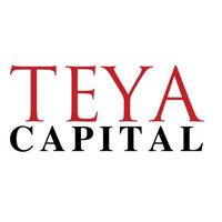 TEYA logo - Similar company to Teya
