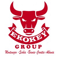 Ekokey Foreign Trade Doo Montenegro logo - Similar company to Mouse Studio