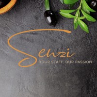 Senzi logo - Similar company to Xtra Groep