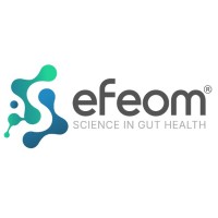 Efeom logo - Similar company to Estriba Performance