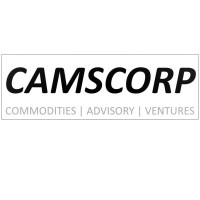 CAMSCORP logo - Similar company to Data Company One Inc.