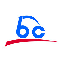 Border Cars Group Ltd logo - Similar company to Car Sourcing Solutions (Lcb)