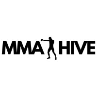 MMA Hive logo - Similar company to Steel Mma And Fitness, Llc