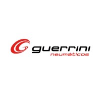 GUERRINI NEUMÁTICOS logo - Similar company to Nemo Traders S.A.