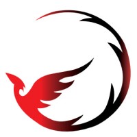 PHOENIX consulting logo - Similar company to Kodsozluk
