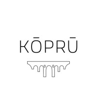 KOPRU logo - Similar company to Yer Çizenler