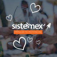 Sistemex Web Solutions logo - Similar company to Teloram Sa De Cv