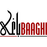 Baaghi TV News logo - Similar company to Atoz Digital Solutions